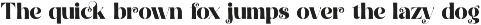 Natural Royale Bold Serif Font preview