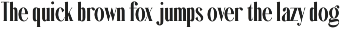 Mortelle - Condensed Serif Font preview