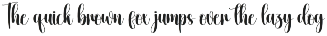 Basketball | Script Font preview