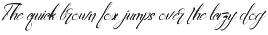 AnichaScript - Modern Elegant Script preview