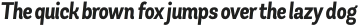 Andes Condensed Bold Italic otf (700)