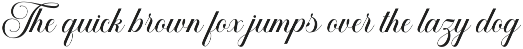 Salsabilla Calligraphy preview