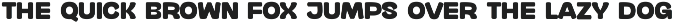 Chicken Wonder – Soft Sans Serif preview