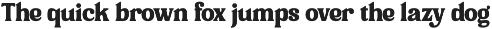 Raltron - Retro Vintage Serif Font preview