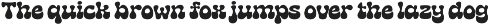 Mag Funky - Retro Groovy Font preview