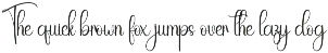 Delay | Script Font preview