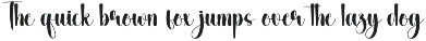 Happy Party | Script Font preview