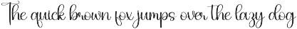 Excited | Script Font preview