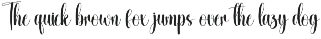 Morning Signature | Script Font preview