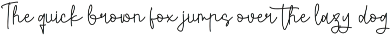 Modern and Stylish Script Font preview