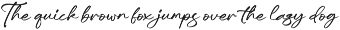Modern and Stylish Script Font preview