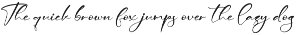 Modern and Stylish Script Font preview