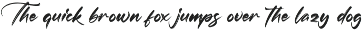 Modern and Stylish Script Font preview