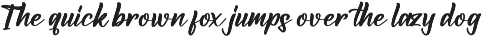 Modern and Stylish Script Font preview
