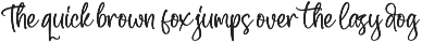 Modern and Stylish Script Font preview