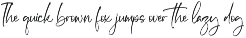 Modern and Stylish Script Font preview