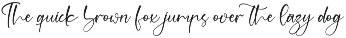 Modern and Stylish Script Font preview