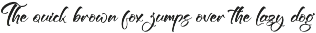 Modern and Stylish Script Font preview