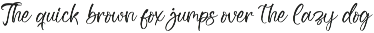 Modern and Stylish Script Font preview