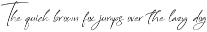 Modern and Stylish Script Font preview