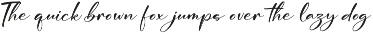 Modern and Stylish Script Font preview