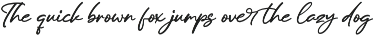 Modern and Stylish Script Font preview