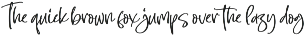 Modern and Stylish Script Font preview