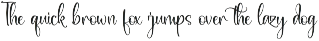 Modern and Stylish Script Font preview