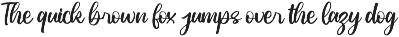 Modern and Stylish Script Font preview