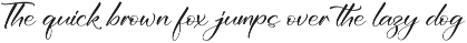 Modern and Stylish Script Font preview