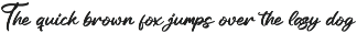 Modern and Stylish Script Font preview