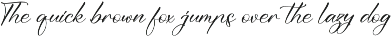Modern and Stylish Script Font preview