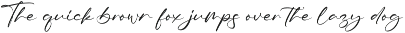 Modern and Stylish Script Font preview