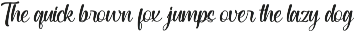 Modern and Stylish Script Font preview
