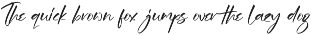 Modern and Stylish Script Font preview
