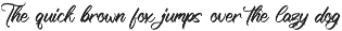 Modern and Stylish Script Font preview