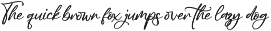Modern and Stylish Script Font preview