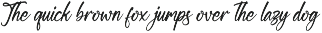 Modern and Stylish Script Font preview