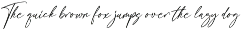 Gorgeous and Elegant Signature Font preview