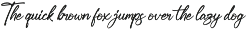 Gorgeous and Elegant Signature Font preview