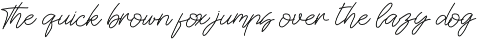 Gorgeous and Elegant Signature Font preview