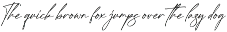 Gorgeous and Elegant Signature Font preview