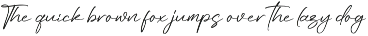 Gorgeous and Elegant Signature Font preview