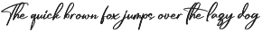 Gorgeous and Elegant Signature Font preview