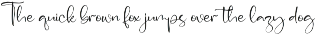 Gorgeous and Elegant Signature Font preview