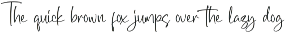 Gorgeous and Elegant Signature Font preview