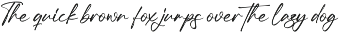 Gorgeous and Elegant Signature Font preview