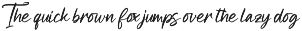 Gorgeous and Elegant Signature Font preview