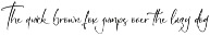 Gorgeous and Elegant Signature Font preview