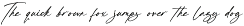 Gorgeous and Elegant Signature Font preview